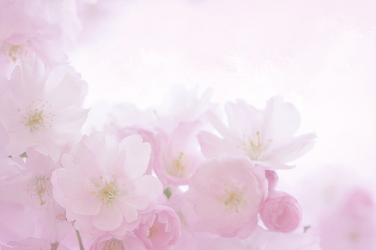 A Mother’s Passing