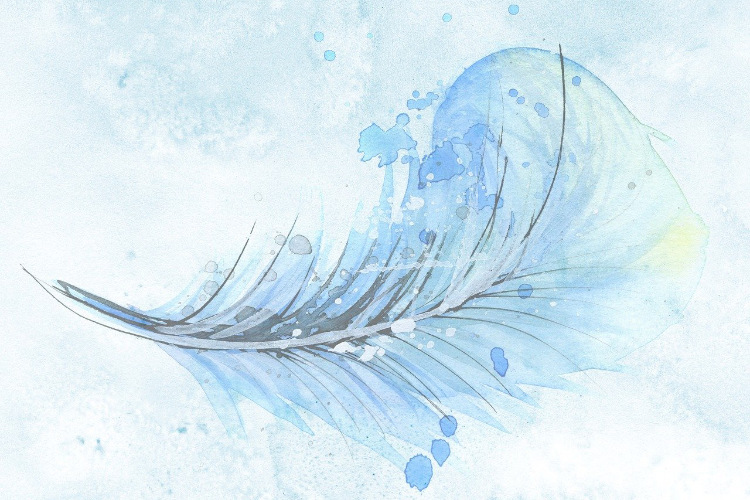https://vibrationsofthesoul.com/wp-content/uploads/2026/06/feather-1588819_3x2.jpg