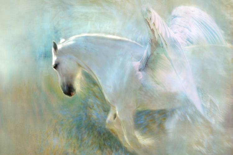 horse-with-wings-3x2 https://vibrationsofthesoul.com/wp-content/uploads/2026/06/horse-with-wings-3x2-1.jpg
